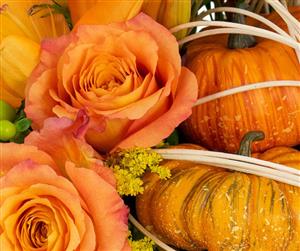 Fall Florals - Ambler Flower Shop