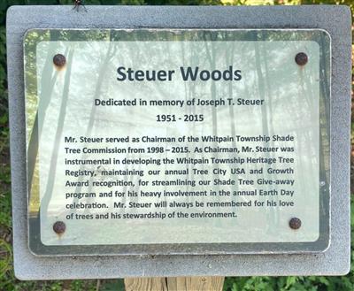 Steuer Woods